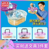 Невинный, моя маленькая домашняя игрушечная черепаха Мать и черепаха, детка Водолей, играет вода, будет плавать девочки