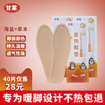 Gantang self-heating insole for men and women 12-hour foot warm foot stickers Winter warm heating insole baby free charging