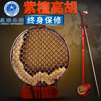 Bắc Kinh Xinghai 8742 gỗ hồng mộc Gaohu Xinghai nhạc cụ Châu Phi gỗ thông xi lanh gỗ trục gỗ đánh bóng gửi phụ kiện - Nhạc cụ dân tộc đàn bầu