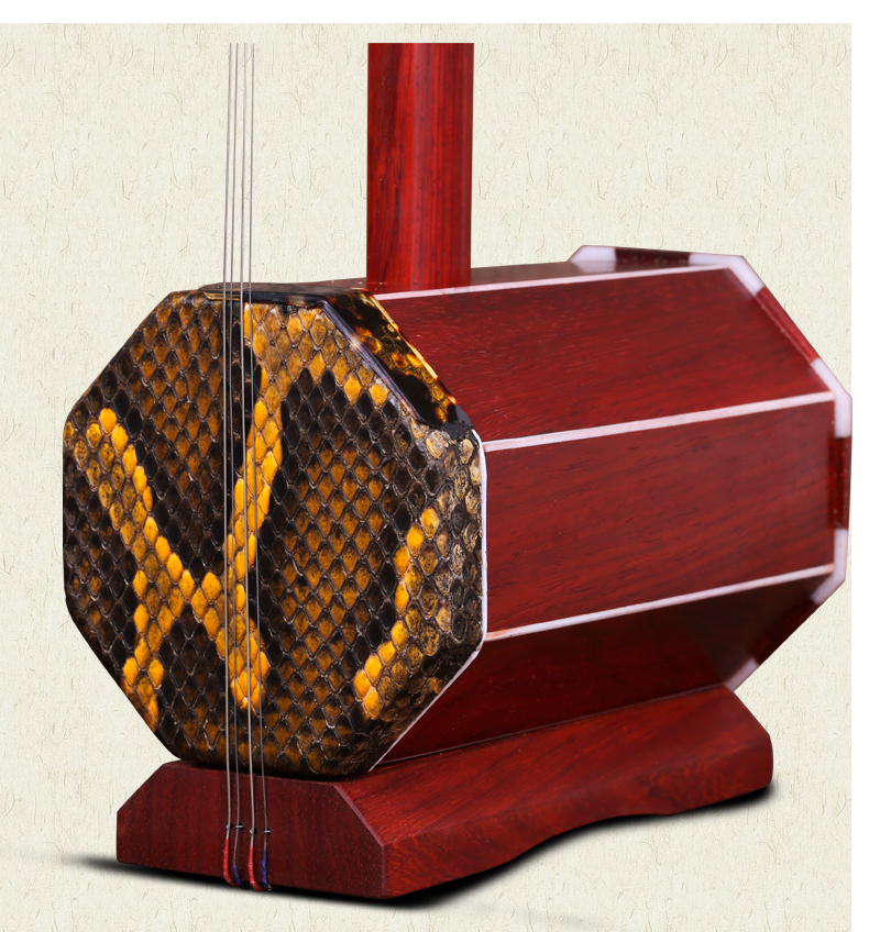 Redwood Alto Four Hu Nội Mông Cổ Sihu Tô Châu Sihu Nhạc cụ Trường trung học Bass Four Hu Nhà máy Phụ kiện giao hàng trực tiếp - Nhạc cụ dân tộc giá sáo trúc