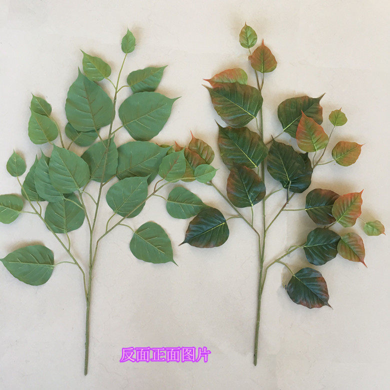 仿真菩提葉假樹葉工程裝飾樹葉假葉子過膠手感葉子菩提樹葉