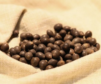 Hydroponic glass vase transparent large narcissus pot bowl lotus pot water lotus pot turtle fish tank hydroponic plant device