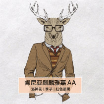 Bean Beast Coffee) 20 new season Kenya AA African coffee beans light roasted berries sweet and sour 200g