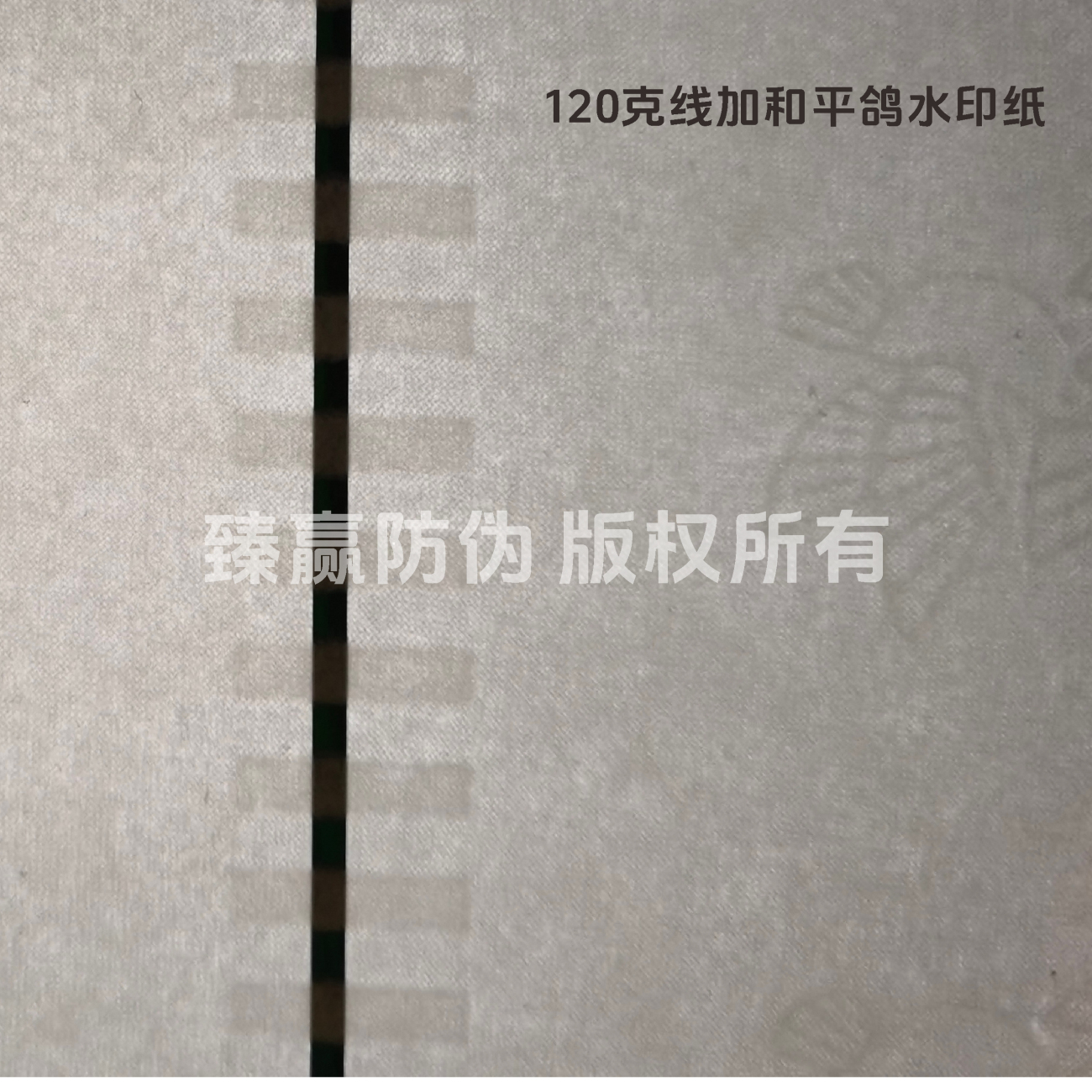 120克线加和平鸽水印纸