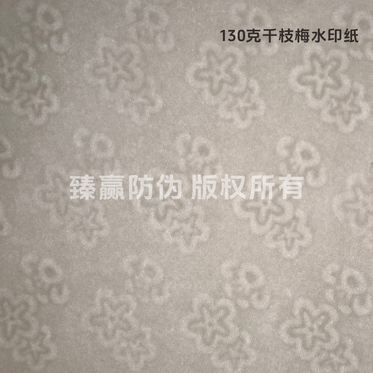 130克千枝梅水印纸