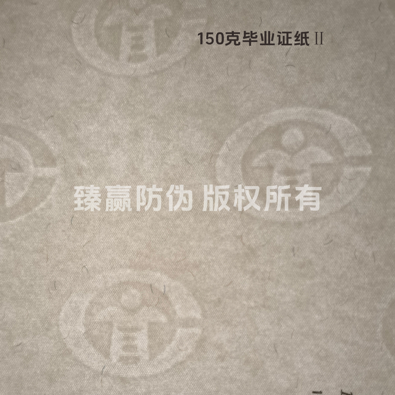 150克毕业证纸Ⅱ