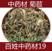 Chinese Herbal Medicine Chicory Leaf Hypotensive uric acid Sulfur-free chicory tea Chicory Chicory Grass Blue Chrysanthemum Kasni 500g