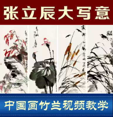 Great freehand ink orchid film technique teaching Zhang Lichen Chinese painting lecture zero basic brush flower bird