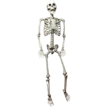 Halloween bar decorations skeleton skeleton escape room haunted house horror props imitation adult loose bones hanging ghost