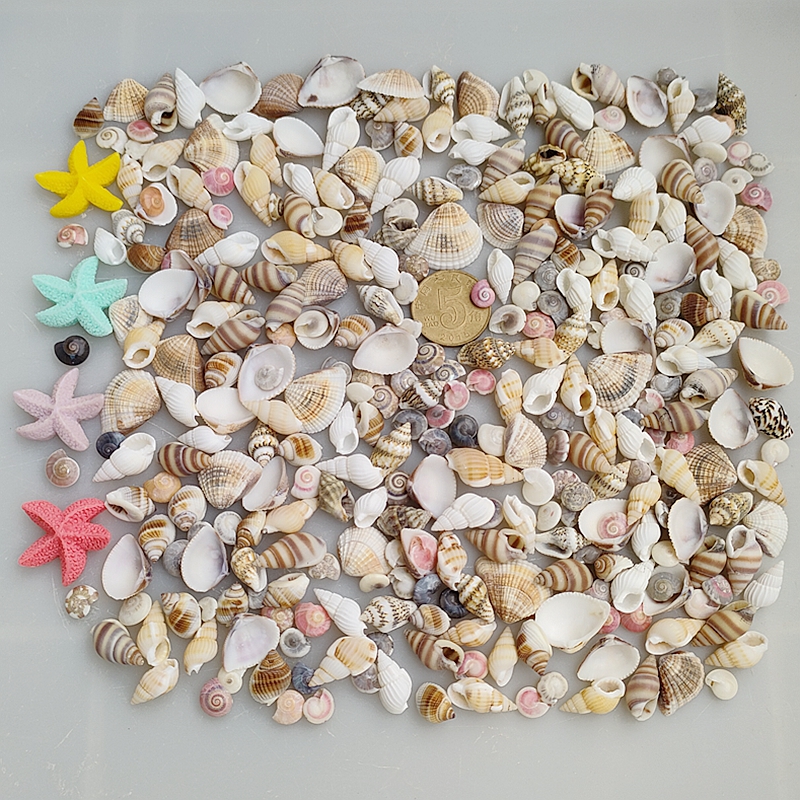 Call Natural Shells Handmade Diy Nursery Sea Snail Rice Snail Mini Small Shells Adornment Rafting Bottle Materials-Taobao