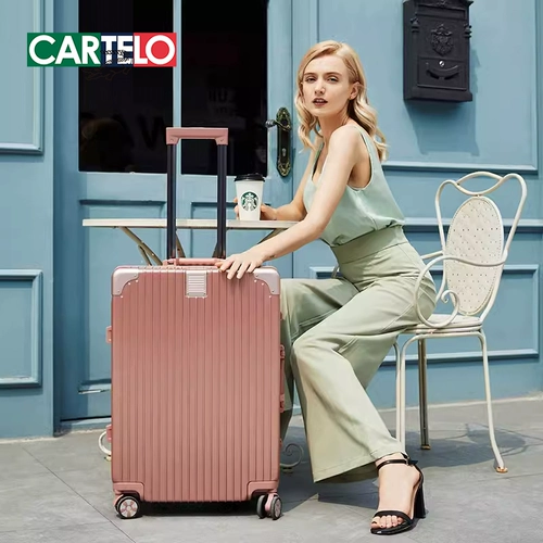 Универсальный чемодан, коробка, 20 дюймов, 26 дюймов