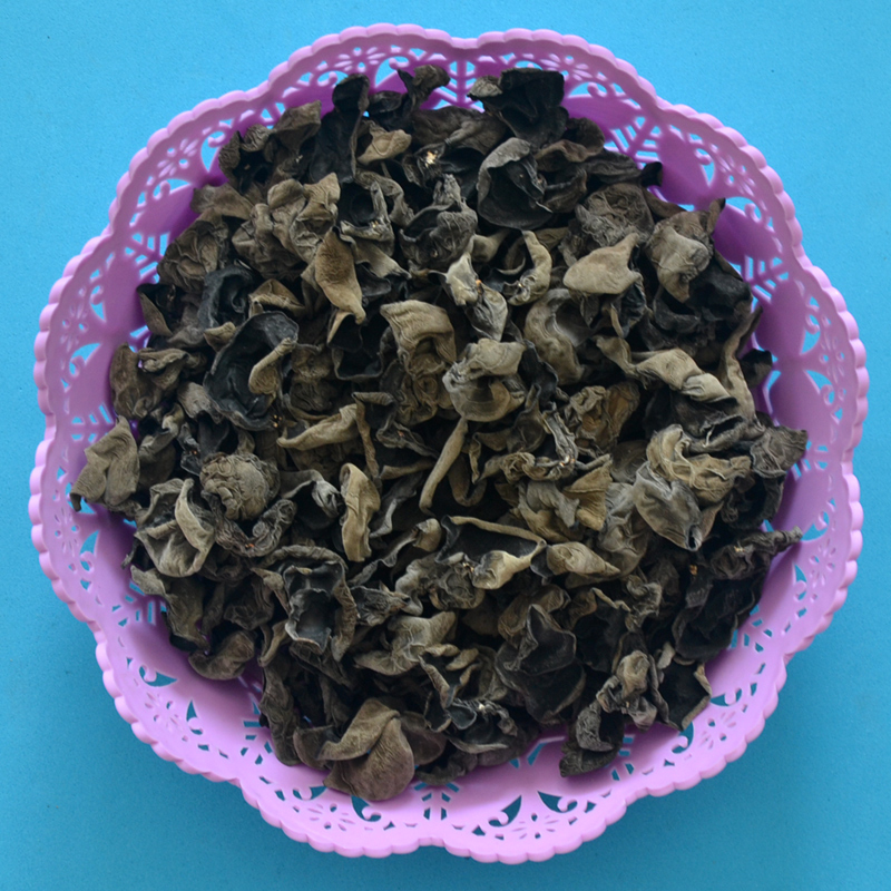 Deep forest in northeast mountains cultivate wild survival without root pickup dried cargo autumn black wood ear