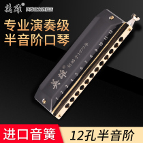 Heroes Sirius Semitonic Harmonica 12 holes Advanced Adult Beginners Advanced 16-hole Professional Performance Level