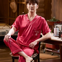 Бордовый, короткий рукав, V-образный вырез