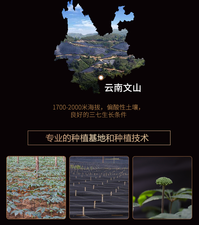 盘龙云海 出口级 三七超细粉 180g/瓶 图11