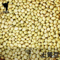 Soil Soybean Hanzhong Uncle Farmers Self-grown Old Variety Soybean Sprout Milk Non-GMO Miscellaneous Grain Bean Seed 500g