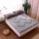 Winter san hô nhung nệm 1 cộng dày giường nhung giường 1.8m hộ gia đình 2 m đôi mùa đông ấm áp x2.0 m - Nệm