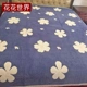 Khăn trải giường ma thuật hai mặt pha lê nhung trải giường chăn bông đơn chăn mền nhung mền có thể giặt bông mùa thu và mùa đông