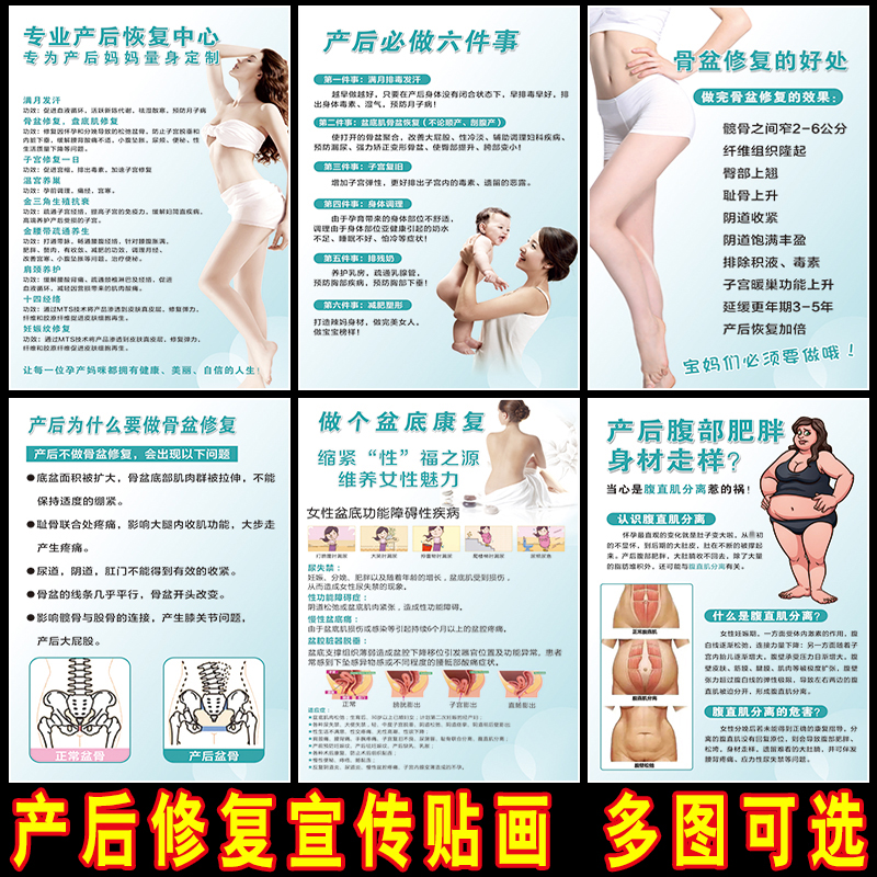 Hospital Postnatal Recovery Center Medical ad hoc Ad hoc Pelvic Floor Muscle Repair Function Principle Benefits Poster Hanging