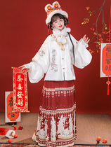 Rabbit Year Hanfu Womens Winter Thickened Warm Horse Face Skirt