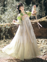Tang-made Hanfu womens original restoration of Chinese style spring and autumn super fairy elegant half-arm embroidery chest-length skirt full set of ancient costumes