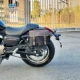 Flash 300-Single Left (небольшая модель) Canvas Bag подходит для ежедневного досуга