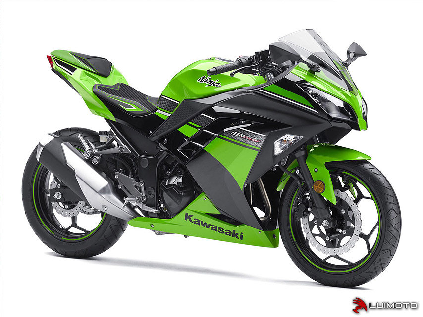 Luimoto Canada full handmade cushion cover Kawasaki Kawasaki N250 300 little ninja front and rear