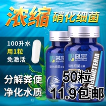 Nitrifying bacteria Fish tank aquarium concentrated nitrifying bacteria dry powder capsules stabilized aquarium chemicals purification water quality clean