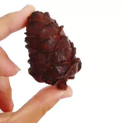 4 send 1 Xing'anling cooked wild pine Tower 500g small tower Weir pine dry masson pine pagoda squirrel