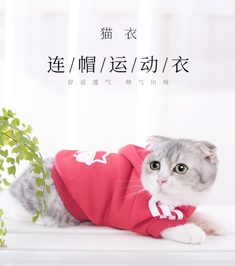 Mèo quần áo thú cưng mùa thu và mùa đông mèo quần áo thú cưng mèo nhỏ trang phục mèo sữa quần áo mùa đông vẻ đẹp ngắn mèo trang phục - Quần áo & phụ kiện thú cưng mũ cho chó