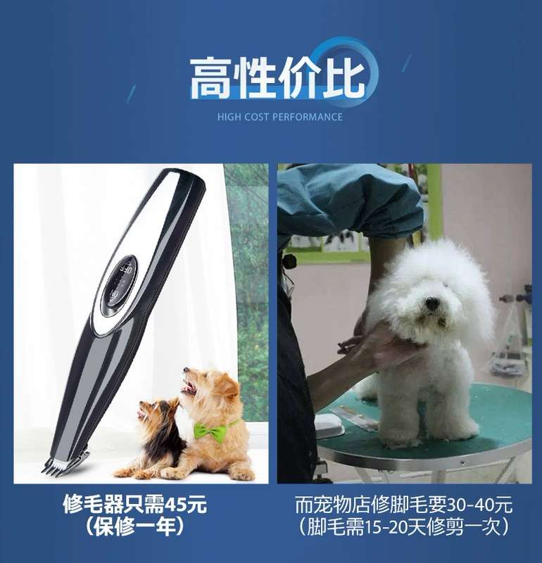 Pet cạo lông mèo móng chân paser chân chó chó lông clipper bass fader mèo máy cạo râu - Cat / Dog Beauty & Cleaning Supplies