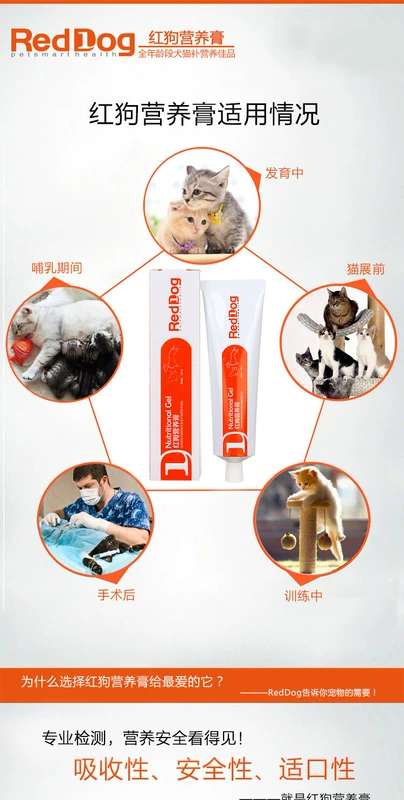 RedDog Red Dog dinh dưỡng kem mèo làm đẹp tóc Pet bổ sung vitamin Tăng cường miễn dịch kem dinh dưỡng mèo - Cat / Dog Health bổ sung