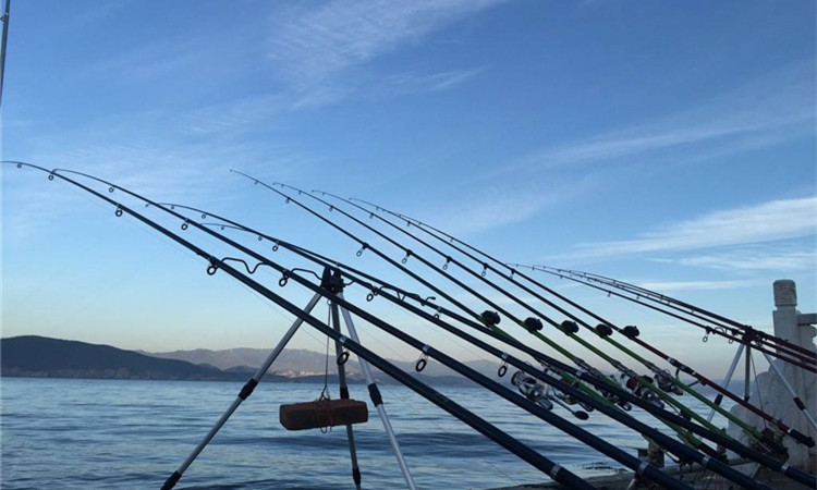 釣魚竿的分類 詳細介紹通俗易懂 淘寶海外