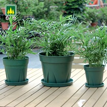 Qingshan root pot imported KANEYA plastic flowerpot round with bottom bracket indoor balcony garden planting support Basin