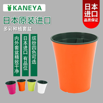 Japanese imported flowerpot Pot Pot green mountain basin controlled root pot breathable KANEYA succulent plant pot pot