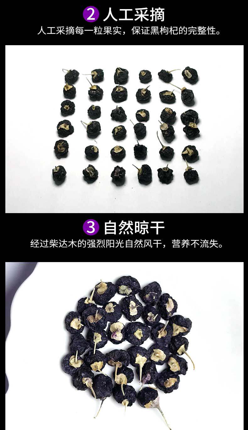 Black Wolfberry_13.jpg