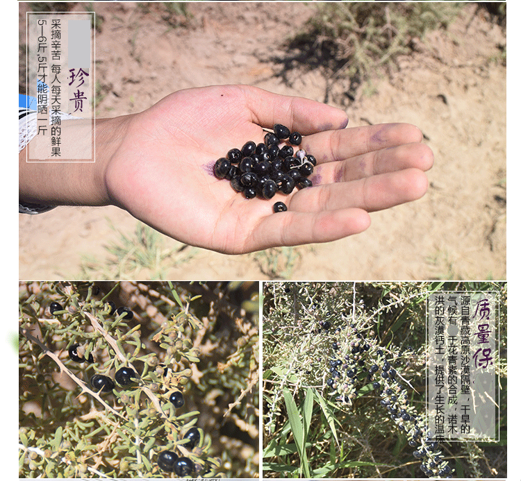 TMALL Store 20180604 СТАБОТА