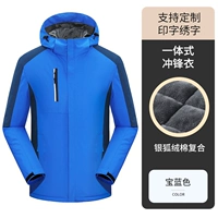 Модернизированное сокровище синее [серебряная лиса бархат утолщен]