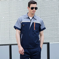 Тибетский синий с серым топом (анти -светлая полоса)