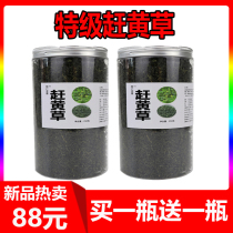 Special class wild catch-up yellow grass 500g whole plant Chinese herbal medicine transaminase Yi liver tea Sichuan catch-up yellow grass flagship store