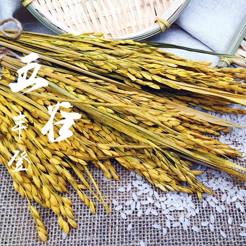 Dry flower bouquet rice grains still life photography props food food photography decoration dry goods photography ornaments