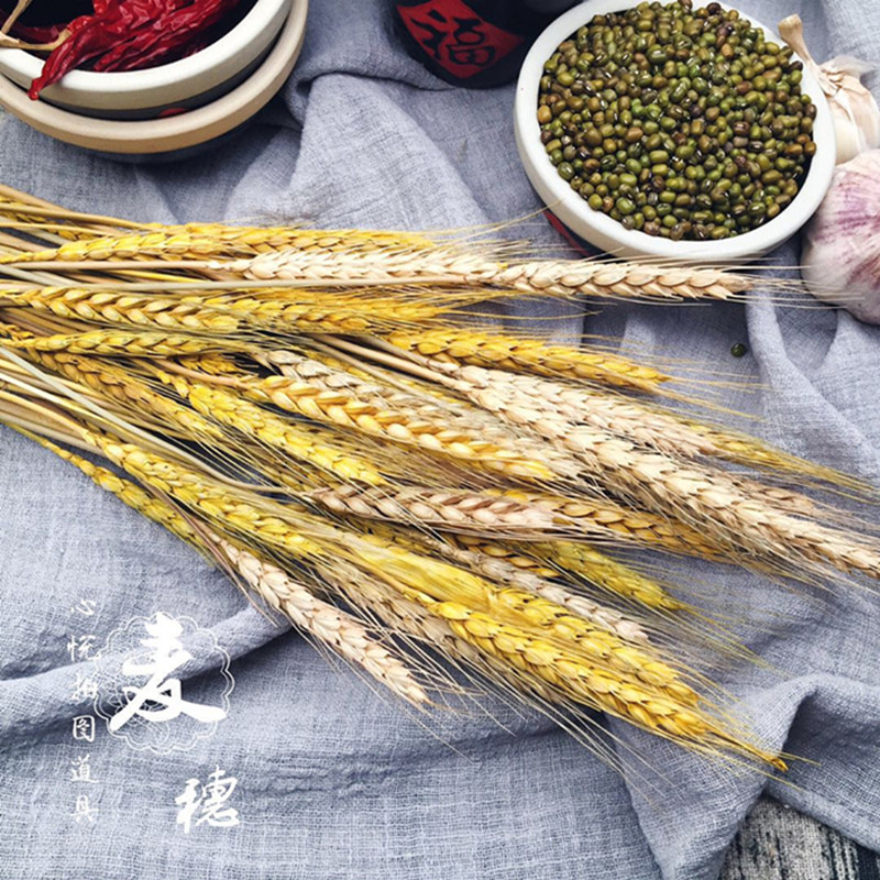 Natural wheat ears dried flower bouquet photography photo props gourmet food photography background country decorations