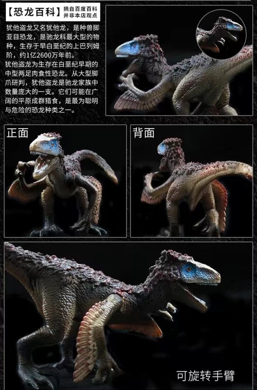 Gói đồ chơi khủng long Jurassic World Tyrannosaurus Rex - Đồ chơi gia đình