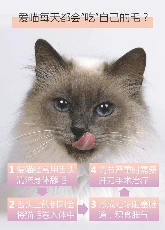 Zpet thú cưng sản phẩm chăm sóc sức khỏe mèo kem sinh học mèo kem nhổ lông bóng Anh vải ngắn thậm chí làm đẹp sản phẩm sức khỏe ngắn - Cat / Dog Health bổ sung