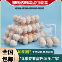 Egg packing box-Secondary plastic 20 egg tray Earth duck egg packing box Egg tray plastic shell transparent