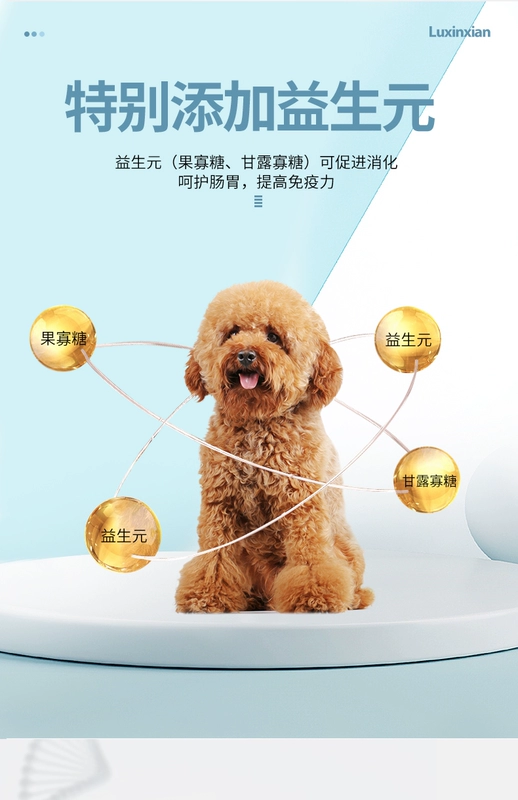 Thức ăn cho chó Teddy Golden Retriever Xiong Bomei Keji Fadou Labrador Chó nhỏ dành cho người lớn Chó đặc biệt Thực phẩm phổ biến - Chó Staples