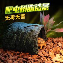 Reptile tortoise tortoise cave spider lizard tortoise evading reptile box drying platform landscape setting cave large