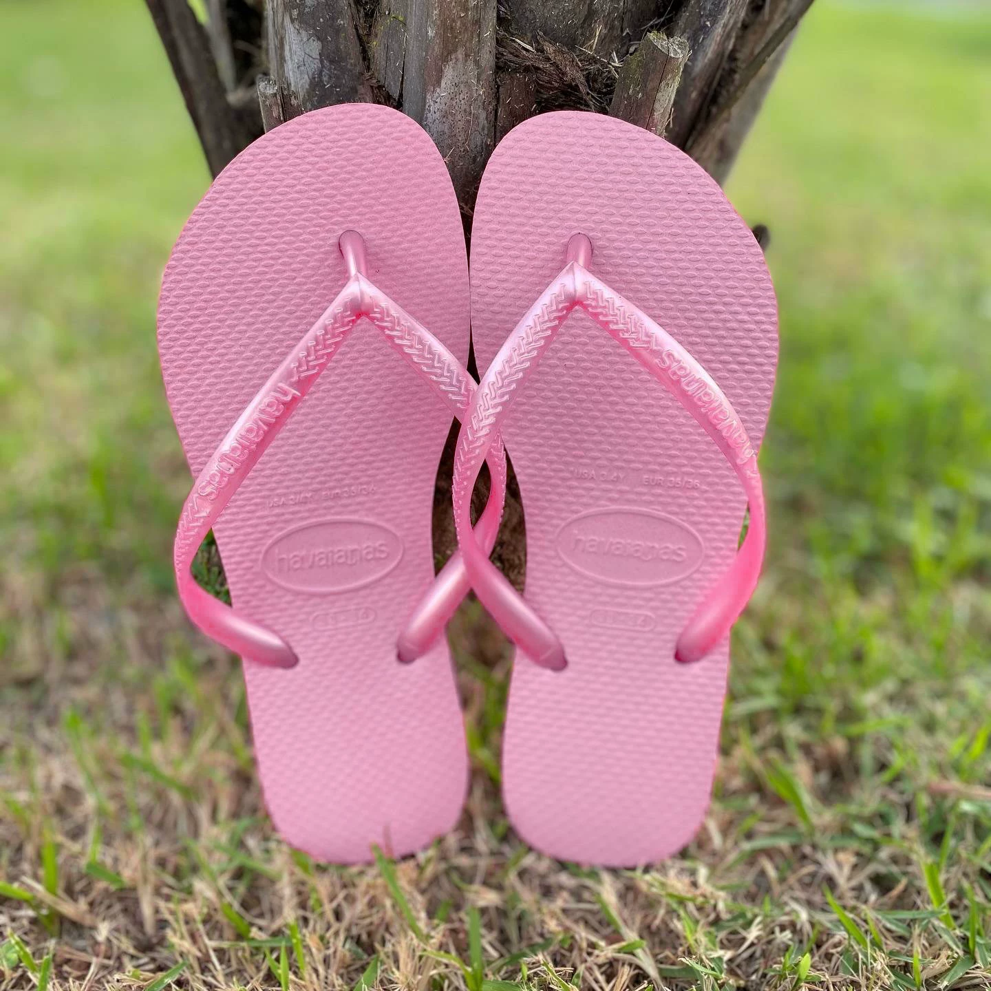[Классические Havaianas не скользкие тапочки, шлепанцы, тонкая лента]