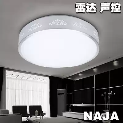 led microwave radar ceiling light human body induction sound and light control infrared staircase garage corridor school aisle balcony