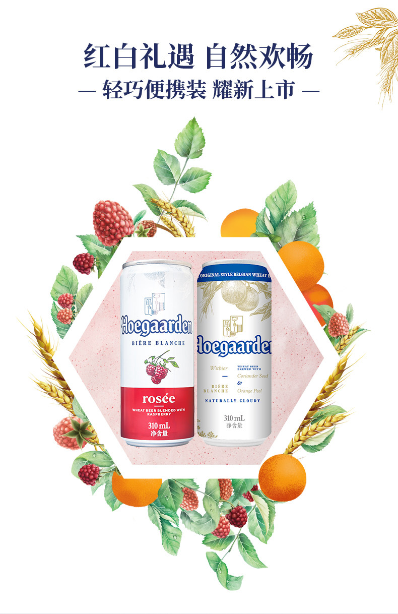 比利时国酒 福佳白啤酒 精酿啤酒 310ml*24罐 图1